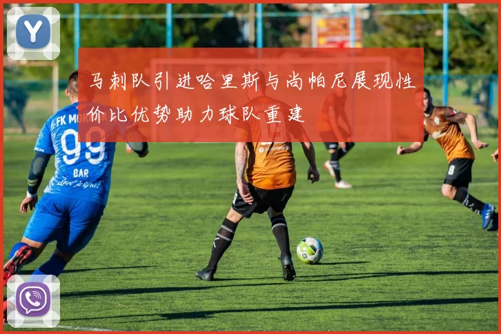 马刺队引进哈里斯与尚帕尼展现性价比优势助力球队重建