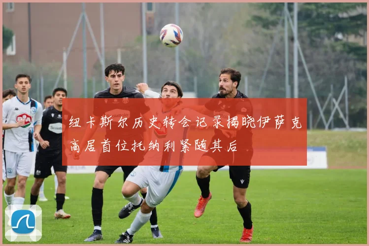 纽卡斯尔历史转会记录揭晓伊萨克高居首位托纳利紧随其后